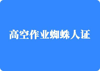 95嫩B高空作业蜘蛛人证